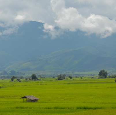 Fieldwork in Northern Laos 28, Luang Namtha